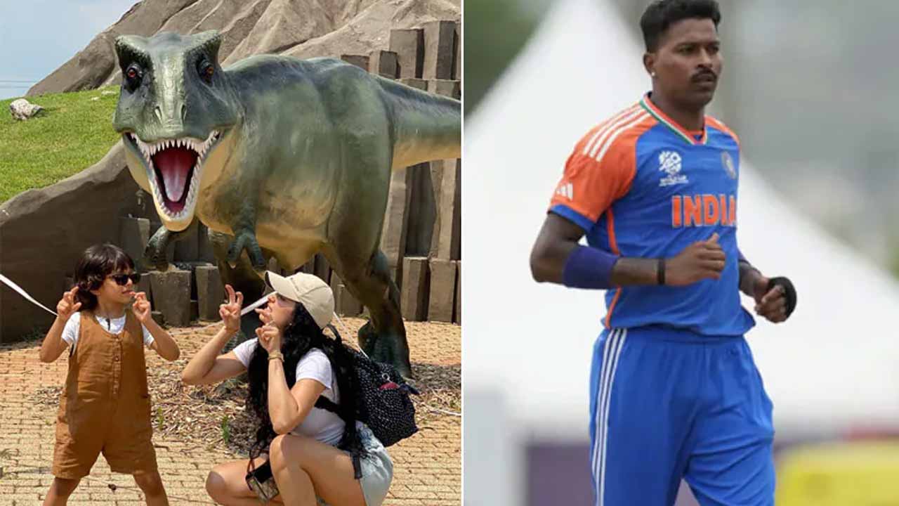 Hardik Pandya: ఇన్‌స్టాలో పిక్ పోస్టు చేసిన న‌టాషా.. ఎమోజీల‌తో హార్ధిక్ పాండ్యా రిప్లై