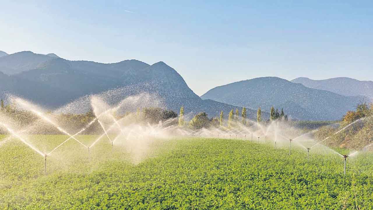 Plantzma | పంటలకు ఎరువు అవసరాన్ని తగ్గించే ప్లాంట్‌జ్మా.. అభివృద్ధి చేసిన హైస్కూల్‌ స్టూడెంట్స్‌