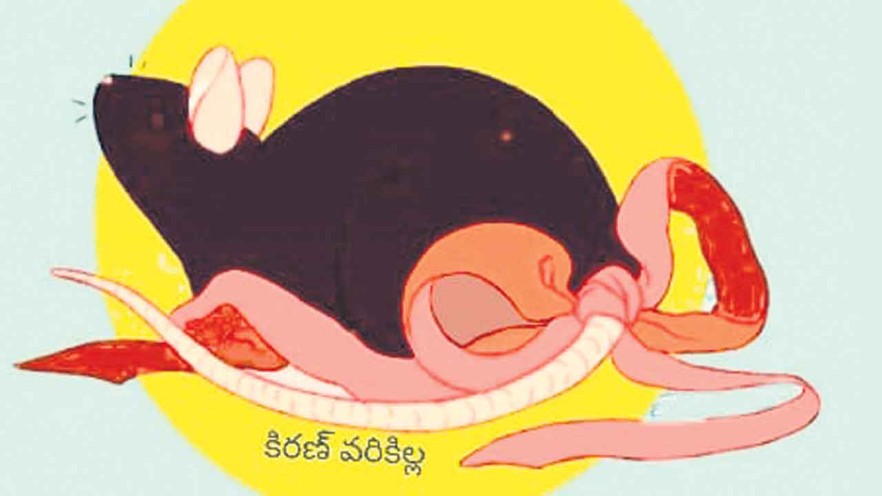 సరెండరైన ఎలుక!