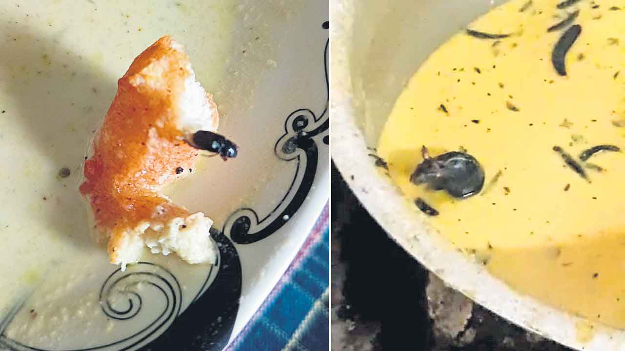 చట్నీలో ఎలుక.. వడలో ఈగ