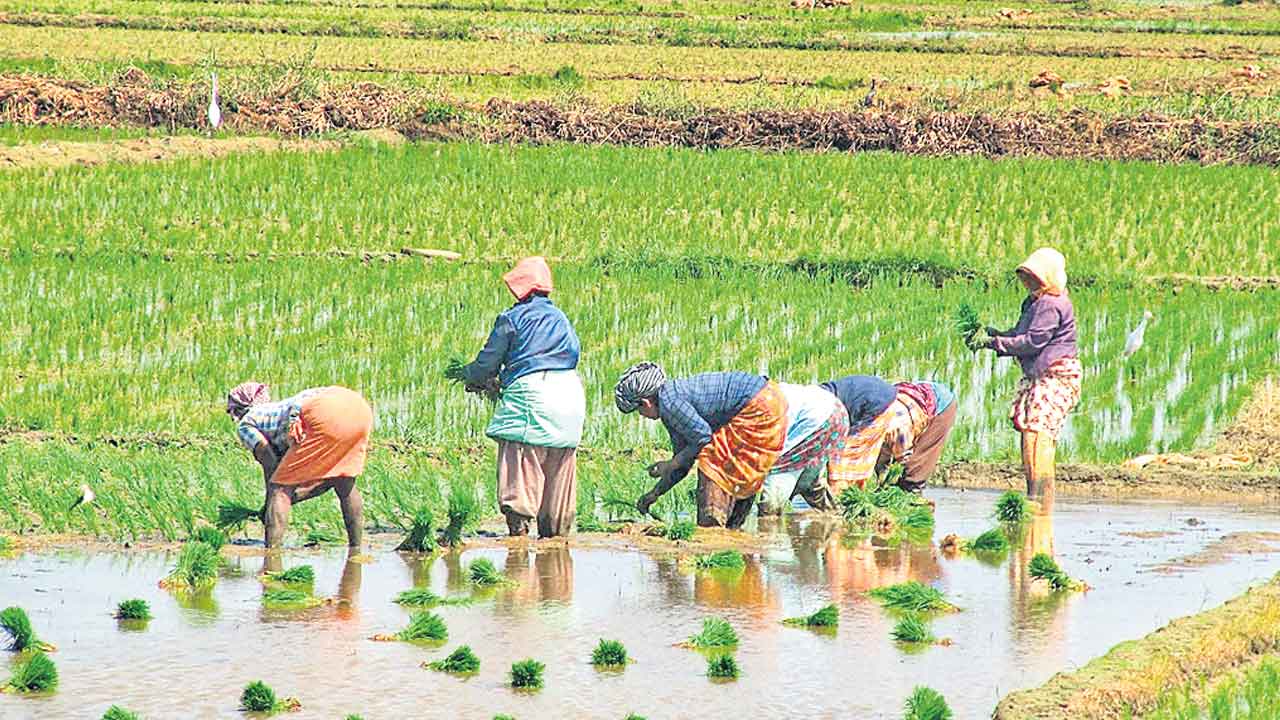 నేటి నుంచి రైతుభరోసా సదస్సులు