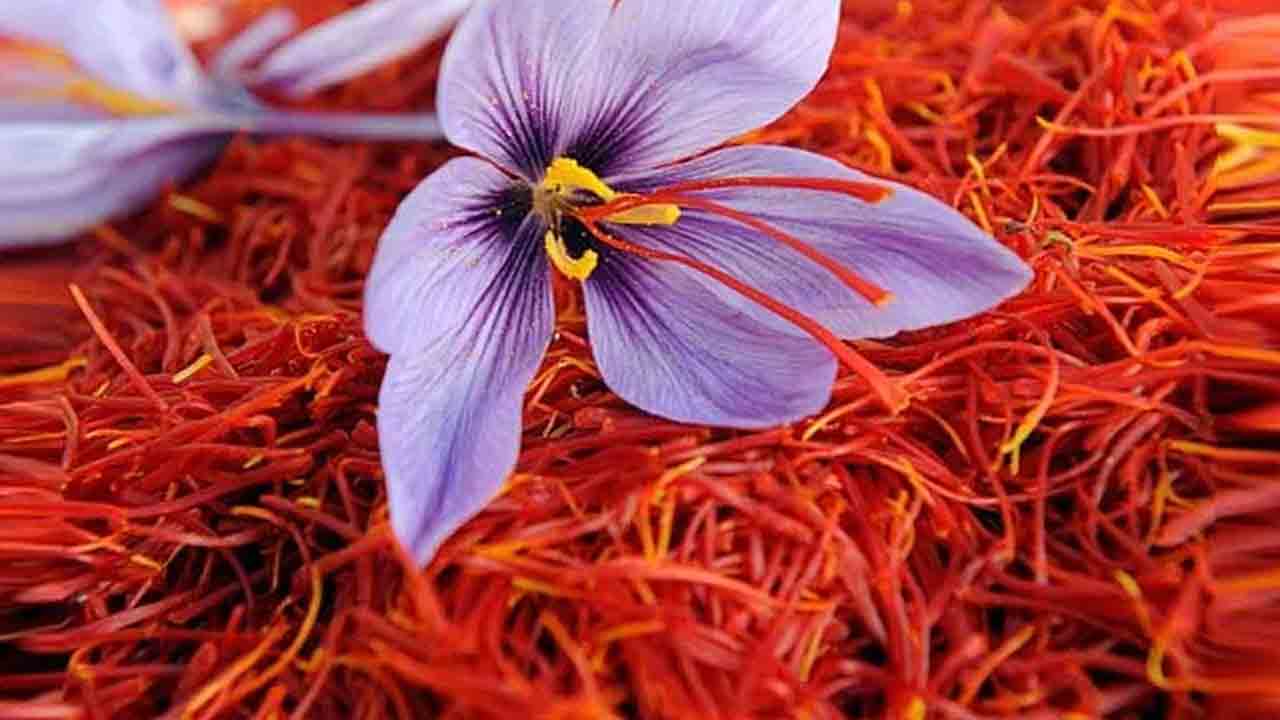 Saffron Benefits | కుంకుమ పువ్వును ఇలా వాడితే..డాక్టర్ దగ్గరకు వెళ్లాల్సిన పనిలేదు..!