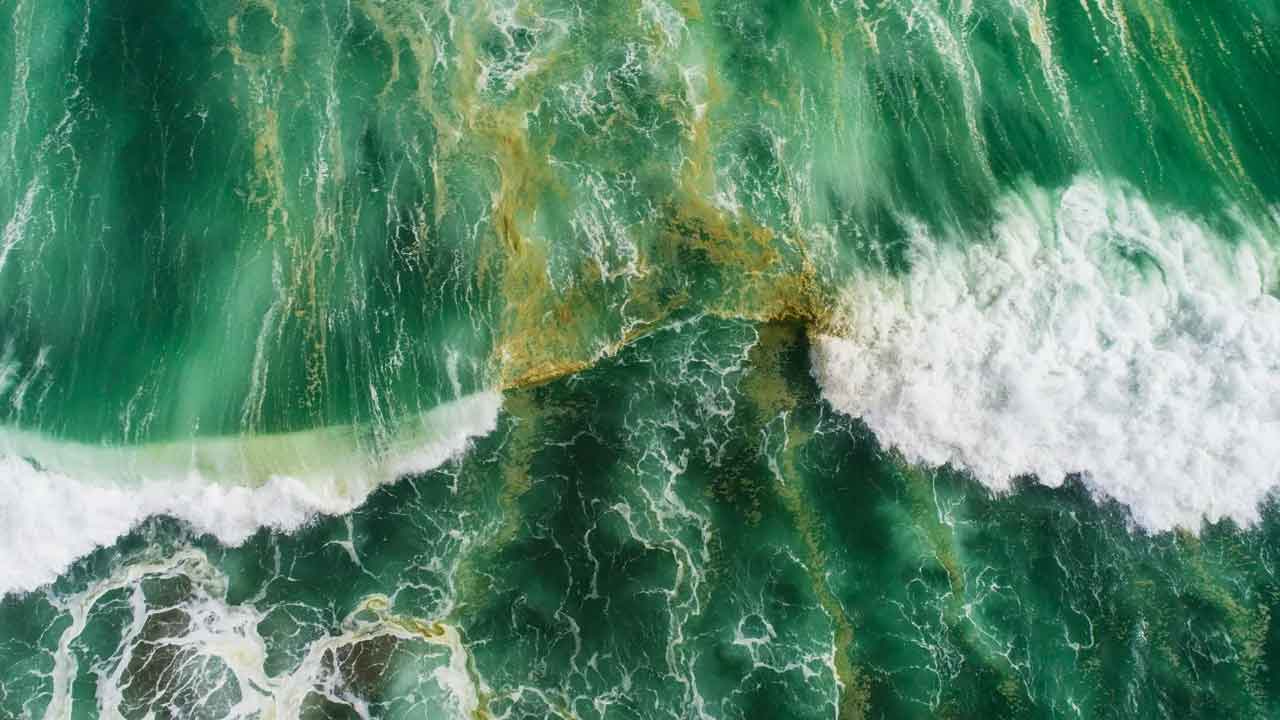 Sea water colour | ఆకుపచ్చగా మారుతున్న సముద్రాలు..!