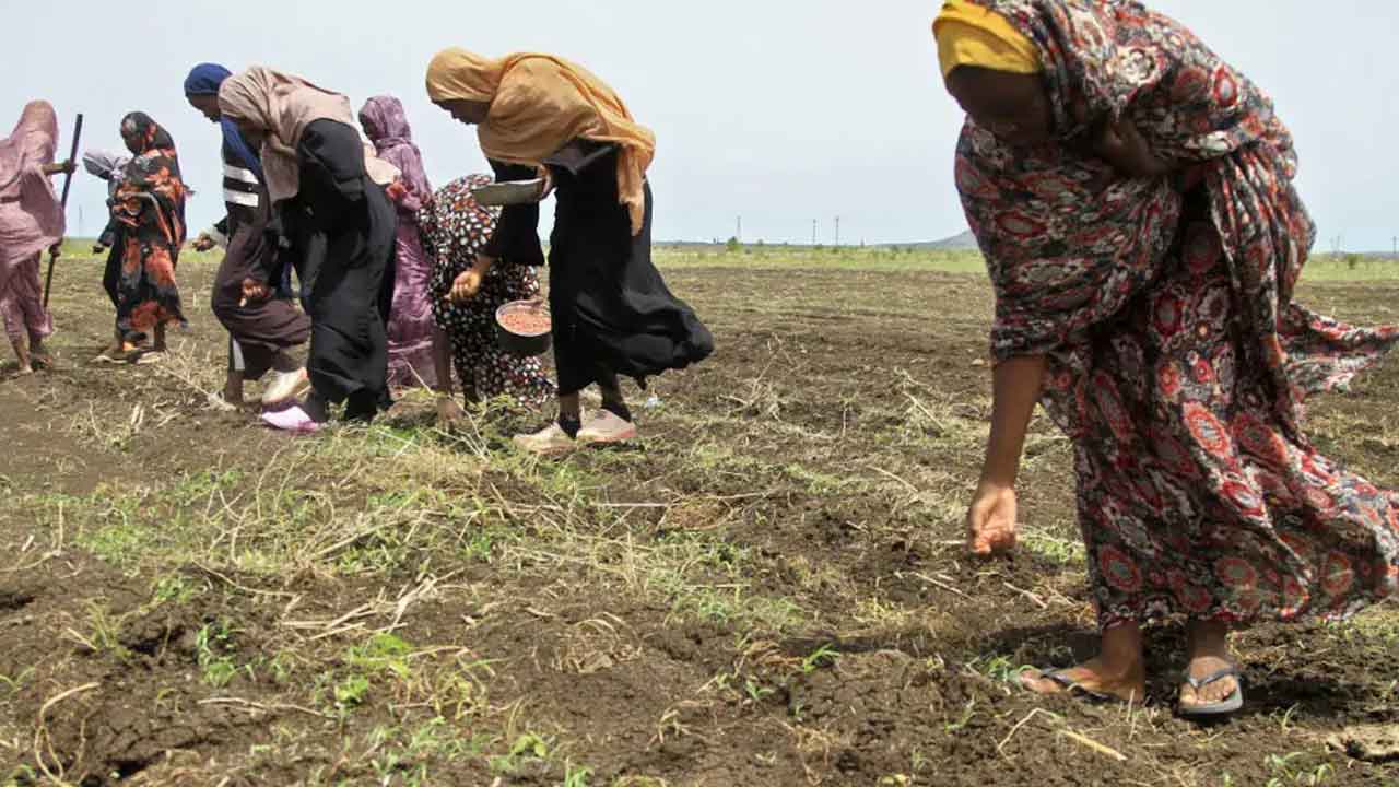 Sudan | సూడాన్‌లో దయనీయంగా మహిళల పరిస్థితి.. ఆహారం కోసం సైనికులతో బలవంతంగా శృంగారం