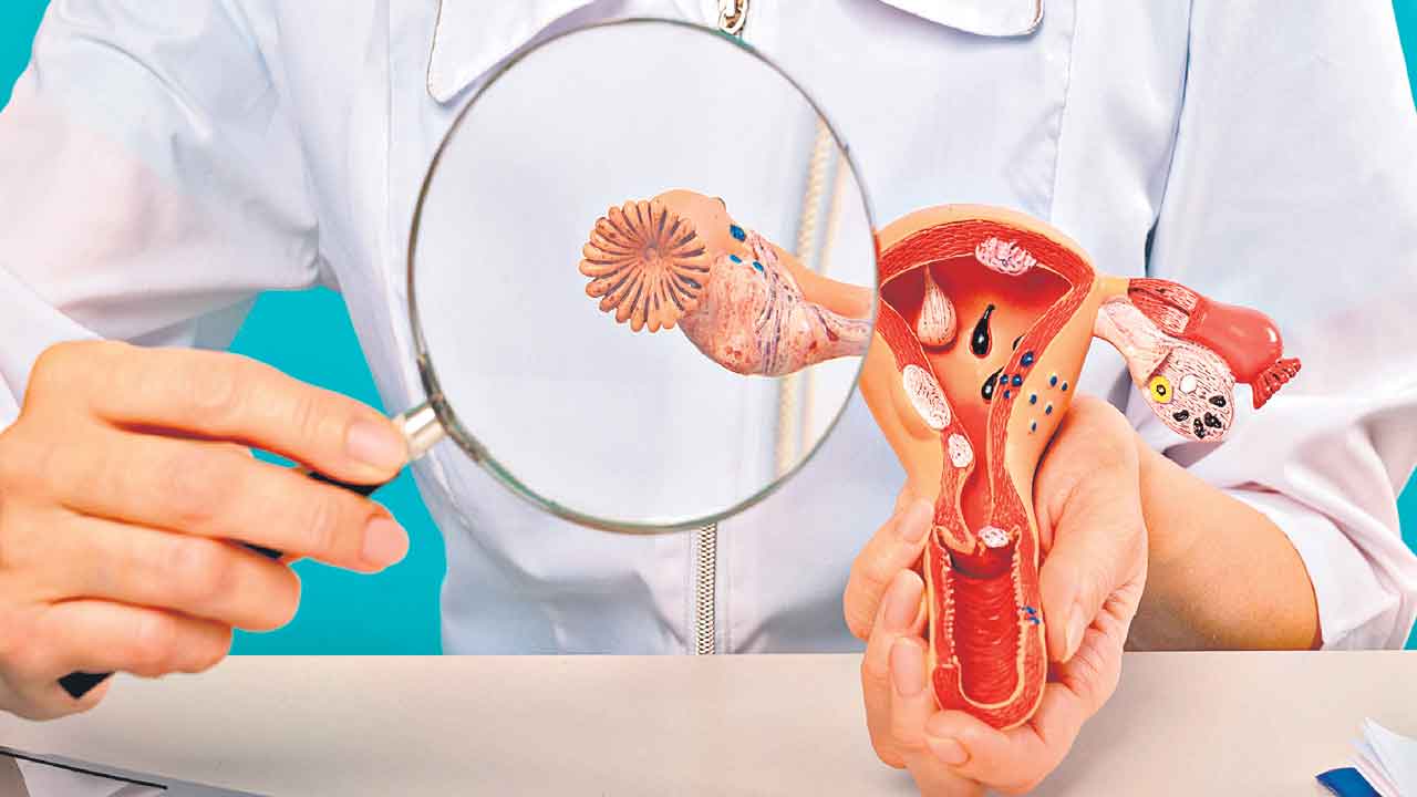 Talcum Powder | టాల్కం పౌడర్‌తో అండాశయ క్యాన్సర్‌: ఐఏఆర్‌సీ