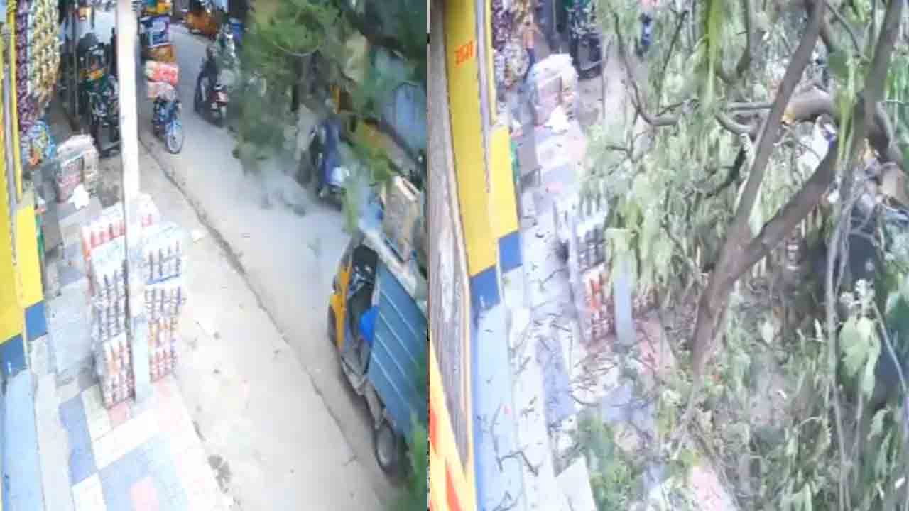 Tree Collapse | పాత‌బ‌స్తీ శాలిబండ‌లో కూలిన భారీ వృక్షం.. 12 మందికి తీవ్ర గాయాలు.. వీడియో