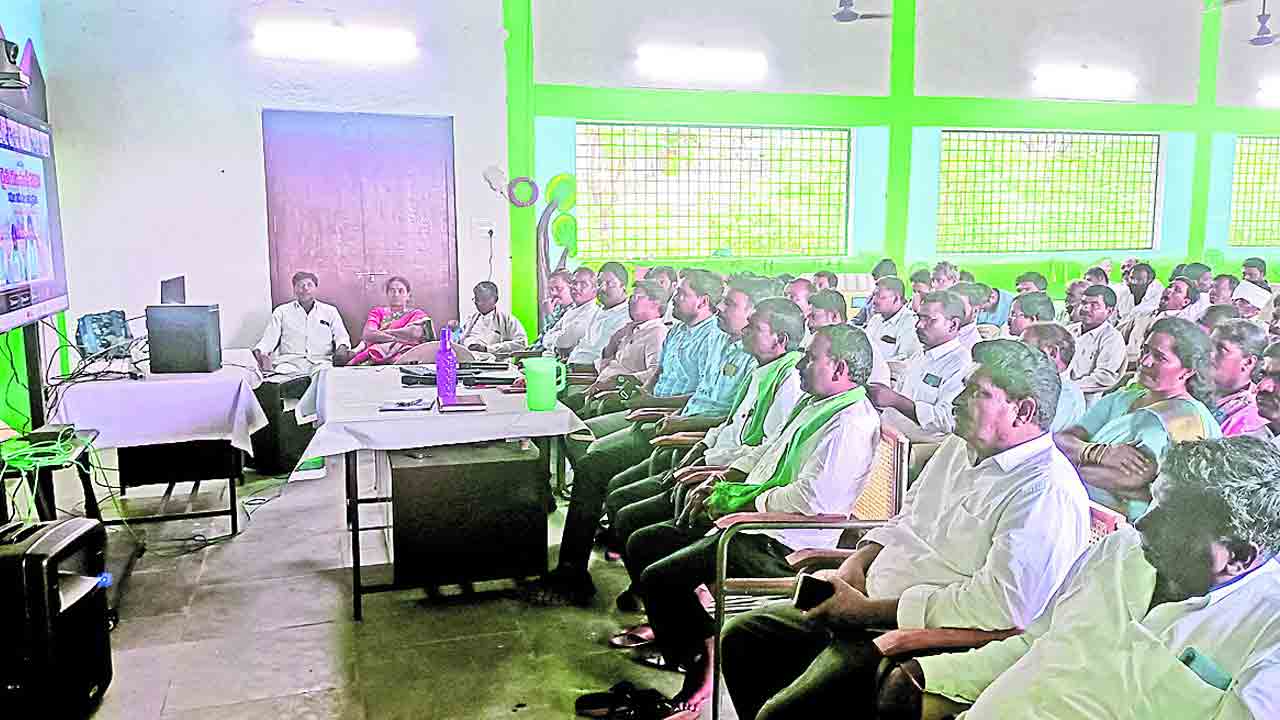 మాఫీ మాయ.. !