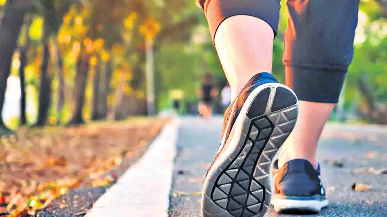 హెల్త్‌ బిట్స్‌