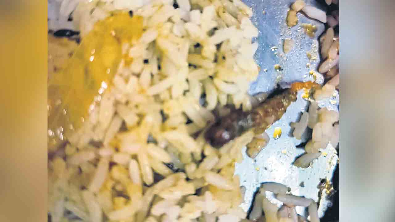 మొన్న బల్లి.. నిన్న పురుగులు