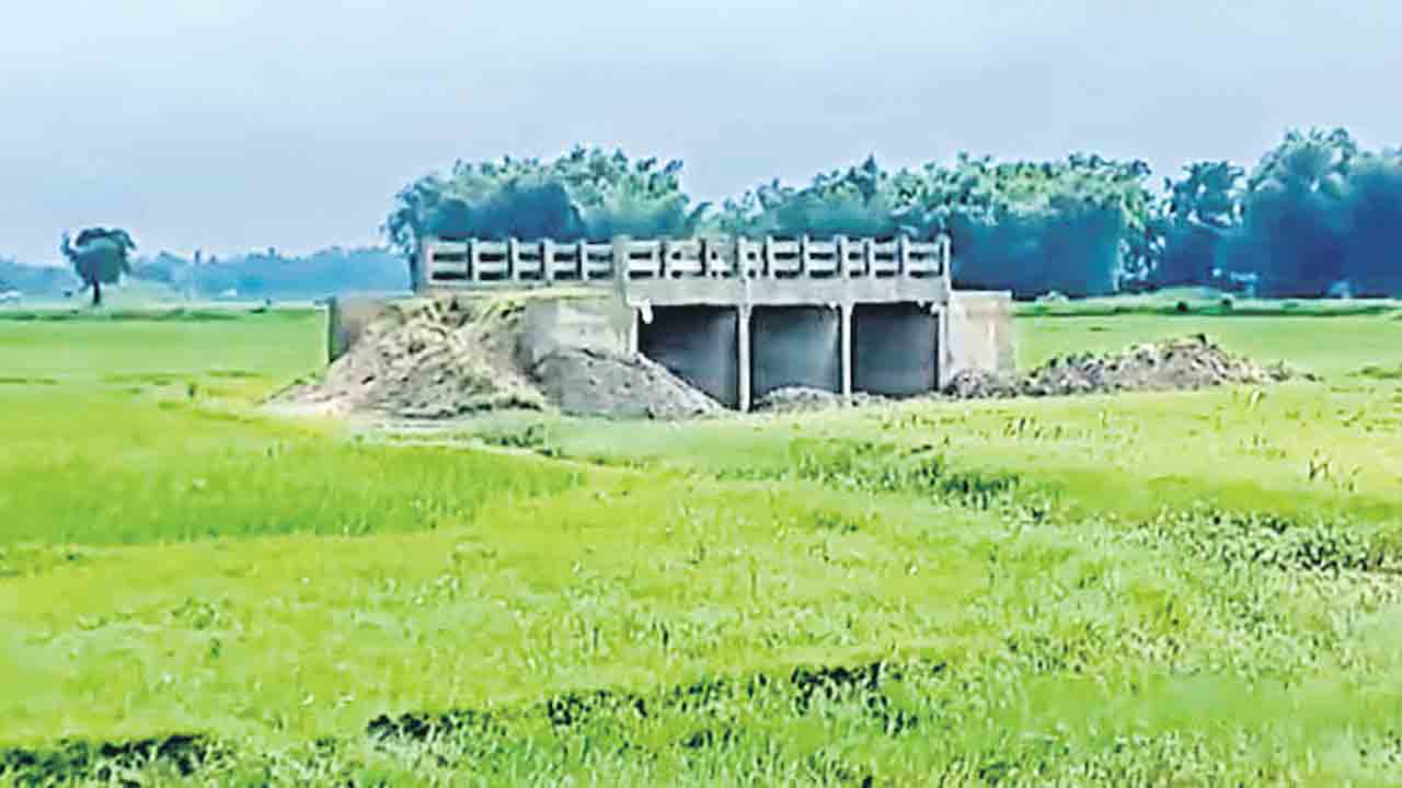 Bihar | భూసేకరణ చేయకుండా పొలం మధ్యలో నిర్మించారు.. బీహార్‌లో పరమానందయ్య శిష్యుల బ్రిడ్జి!