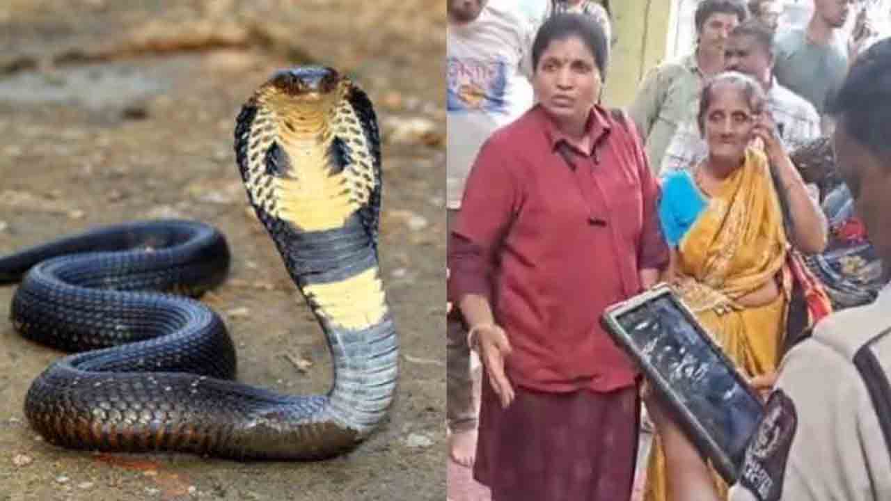 TGSRTC | డ్రైవర్‌ బస్సు ఆపలేదని.. కండక్టర్‌పై పామును విసిరిన మహిళ