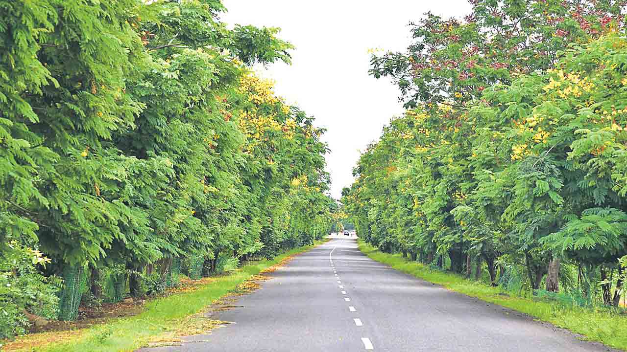 Swachadanam-Pachadanam | నిధుల్లేకుండా స్వచ్ఛత ఎట్లా ?.. తూతూ మంత్రంగా స్వచ్ఛదనం-పచ్చదనం