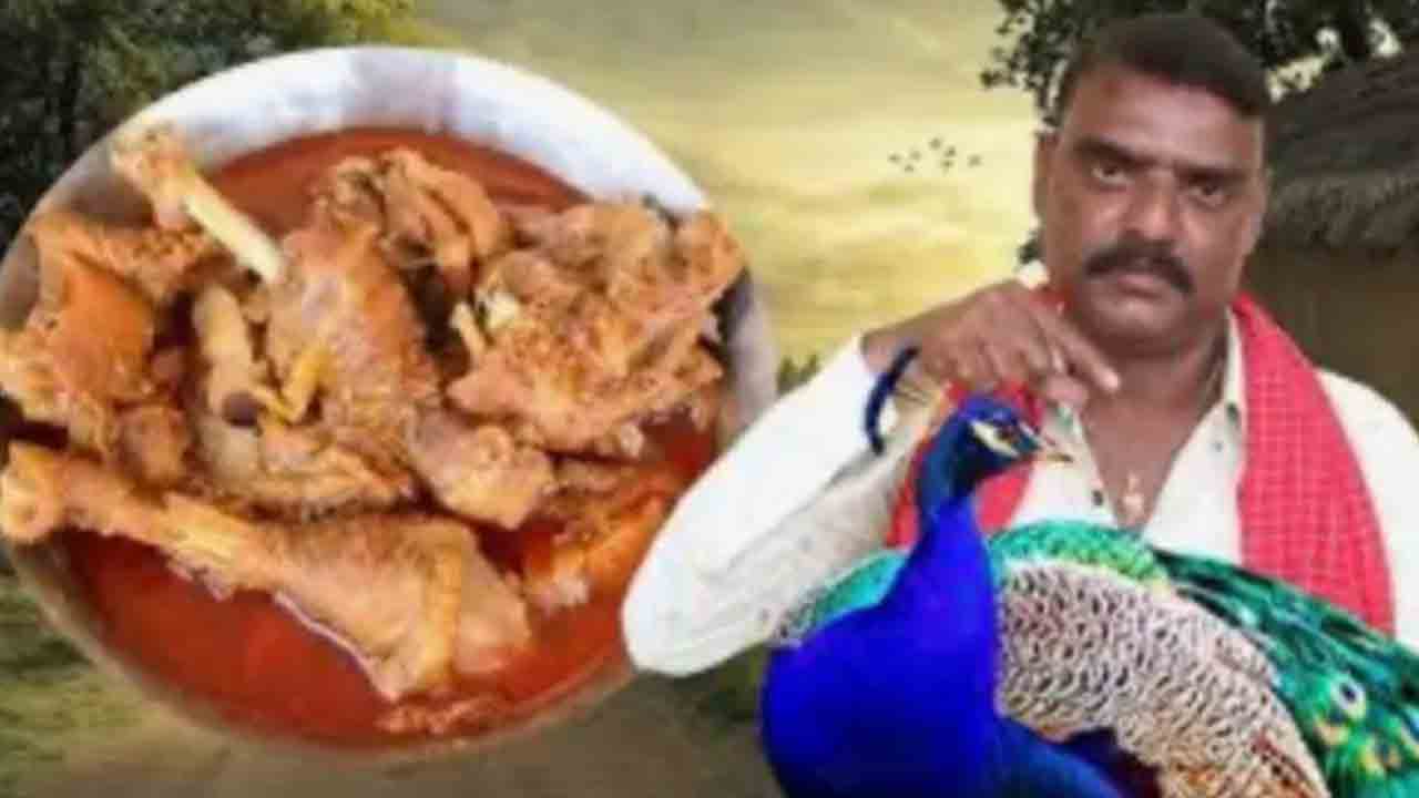 Sircilla | నెమలి కూర వండటం ఎలా?.. యూట్యూబ్‌లో వీడియో అప్‌లోడ్‌ చేసిన సిరిసిల్ల వాసి