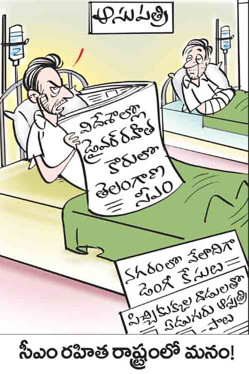 డైలీ కార్టూన్ 13-08-2024