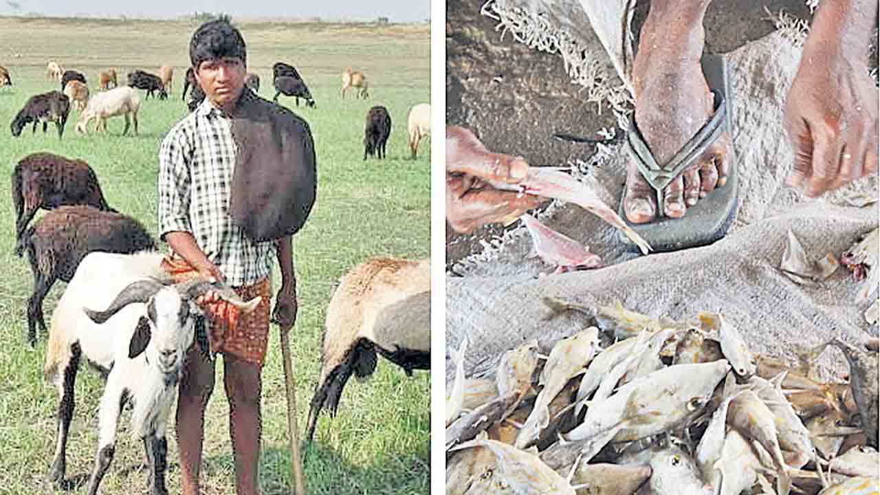 బీసీలు బలి జీవులేనా..!