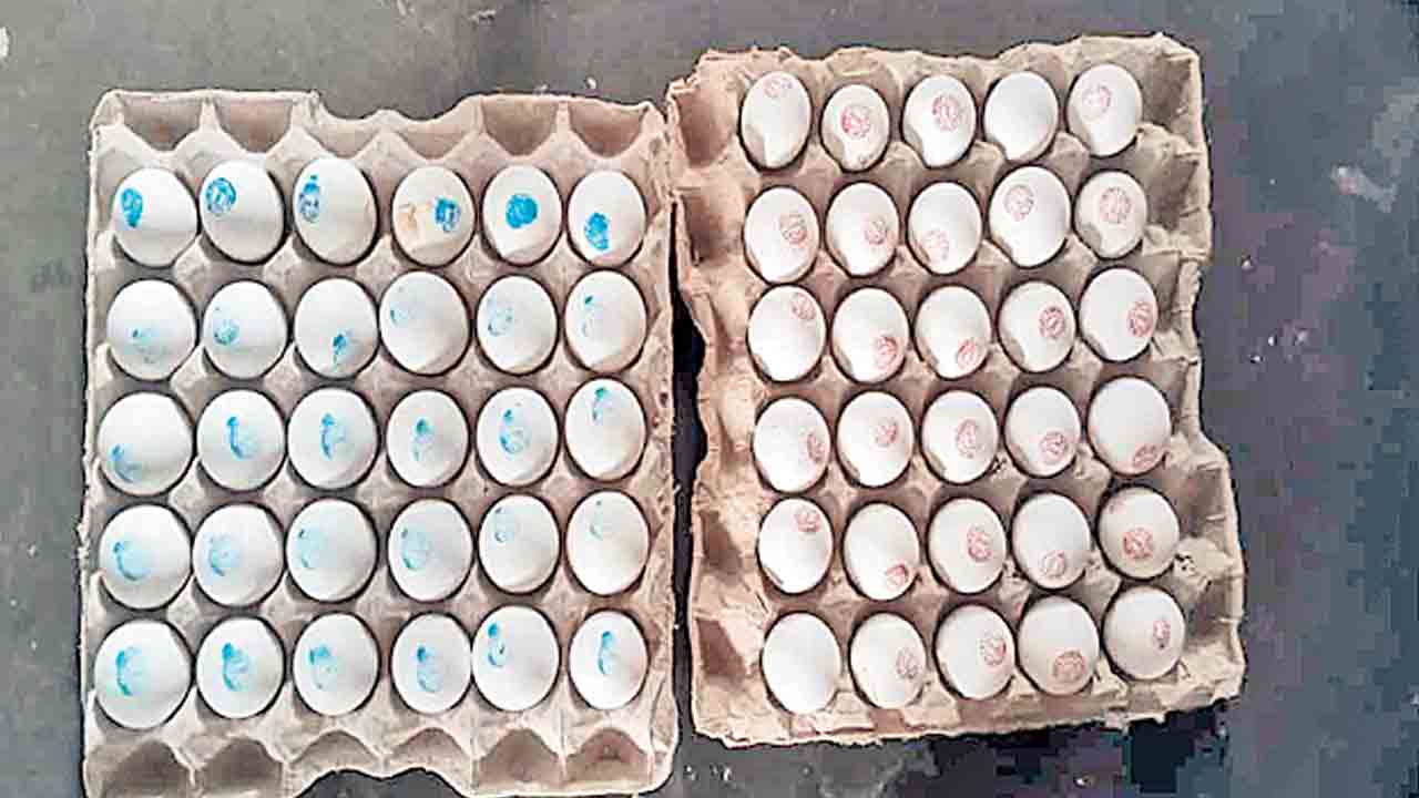 Anganwadi Centers | అంగన్‌వాడీ కేంద్రాలకు కుళ్లిన గుడ్లు.. పట్టించుకోని కాంగ్రెస్‌ ప్రభుత్వం