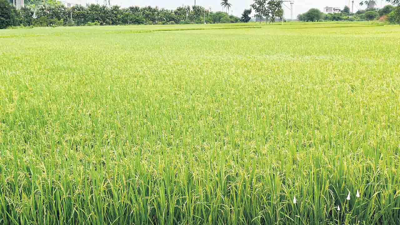 రుణం తీరలే..!