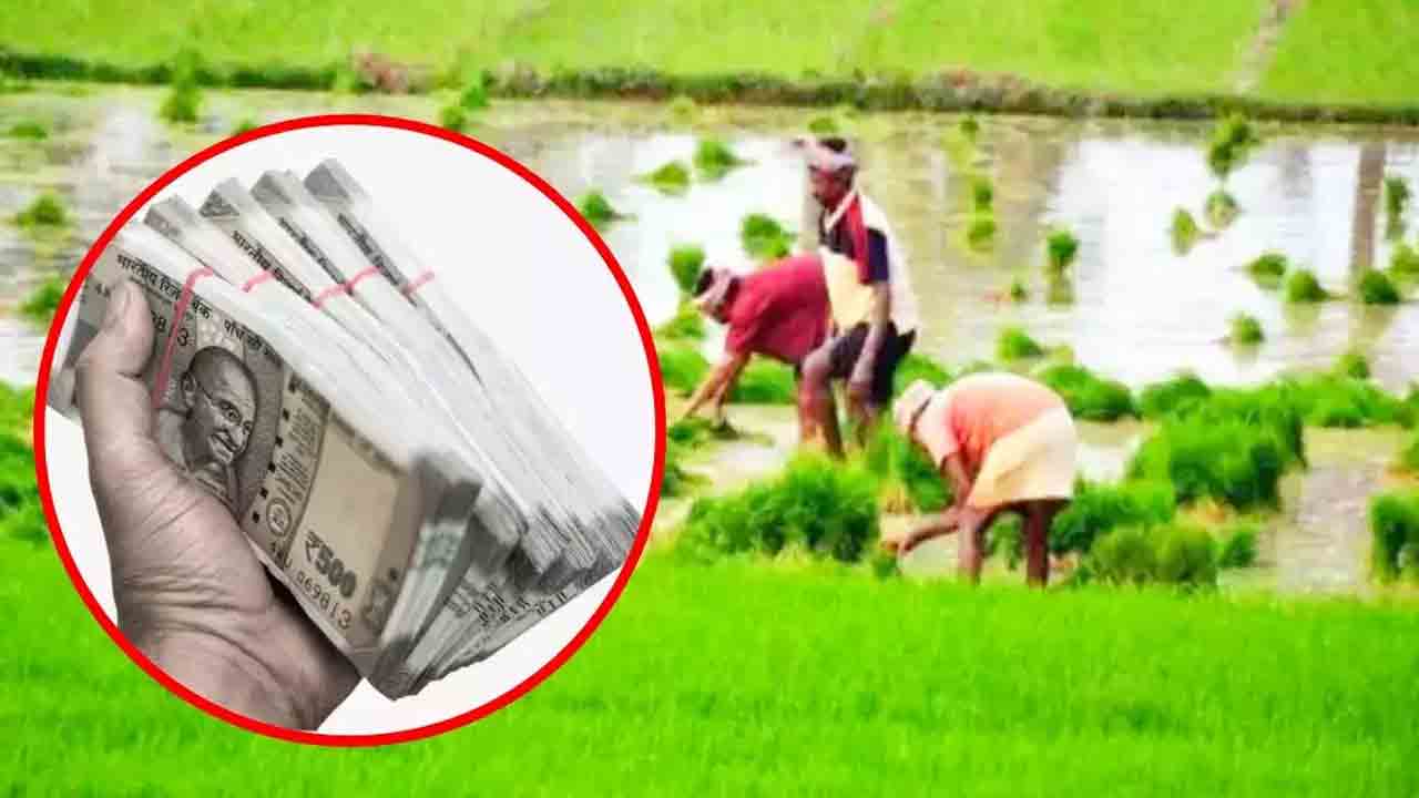 40శాతం కూడా రుణమాఫీ కాలే