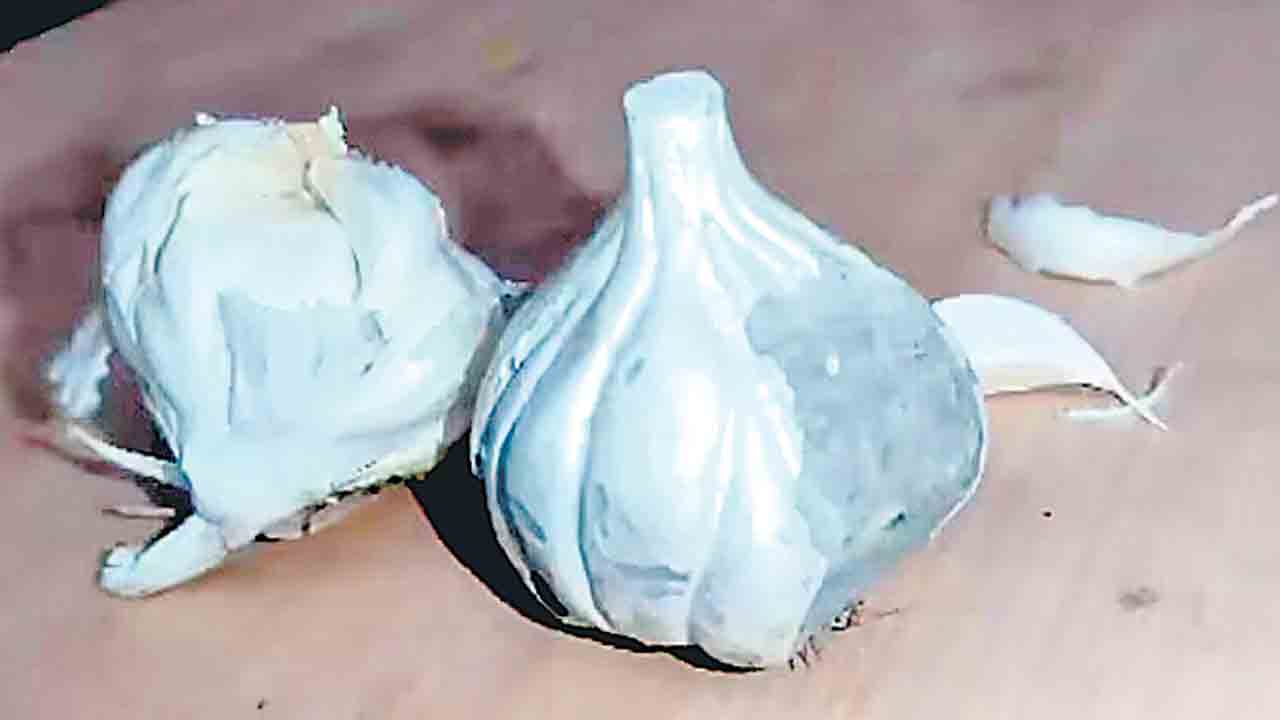 Maharashtra | కాదేదీ నకిలీకి అనర్హం.. మహారాష్ట్రలో సిమెంట్‌ వెల్లుల్లి