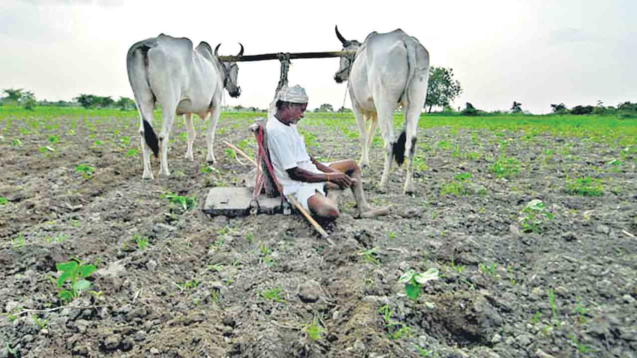 Runa Mafi | మాఫీలో మరో నాటకం.. సర్వే పేరుతో సర్కారు కొత్త కథ