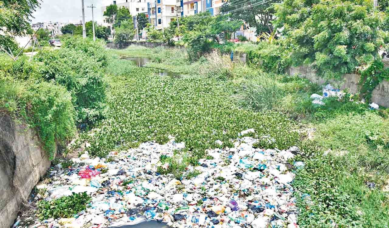 పారిశుధ్యం పడకేసింది..
