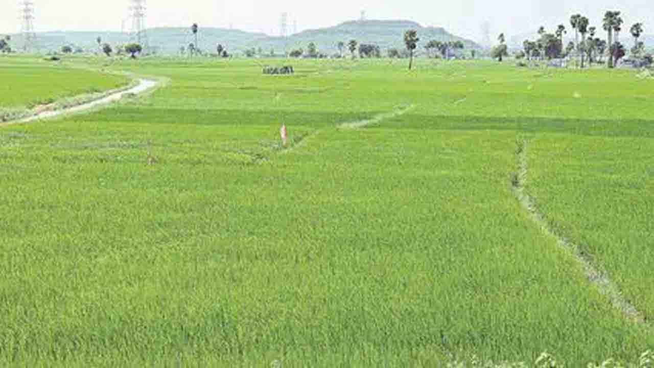 Telangana | అన్నపూర్ణగా తెలంగాణ