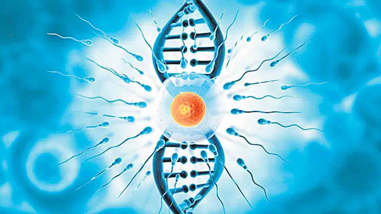 Male Infertility | సరికొత్త ఏఐ వ్యవస్థ.. రక్త పరీక్షతో పురుషుల వంధ్యత్వ నిర్ధారణ