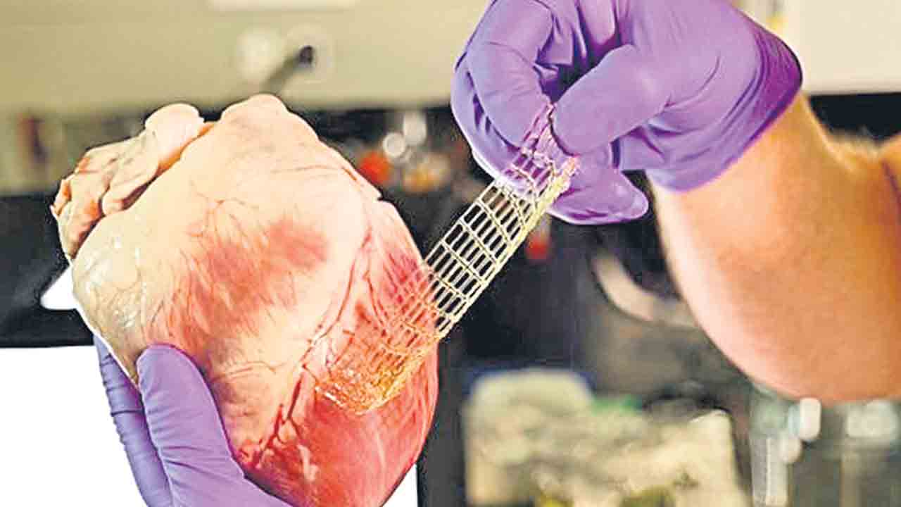 Heart Band-Aid | 3డీ ప్రింటింగ్‌.. గుండె మరమ్మతుకు బ్యాండేజీలు!