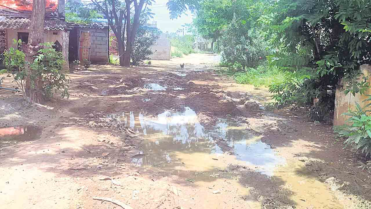 తండాల్లో పడకేసిన పారిశుధ్యం