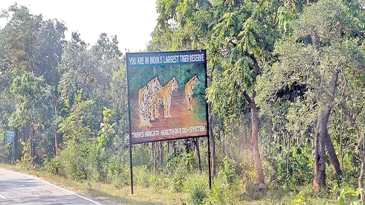 కీలకదశకు ఏటీఆర్‌ గ్రామాల తరలింపు