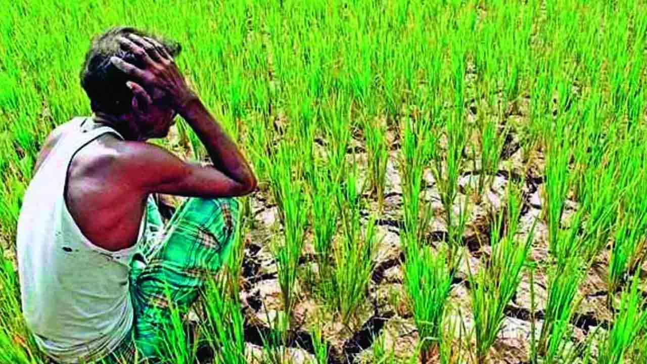 మూడో విడతలోనూ నిరాశే..!