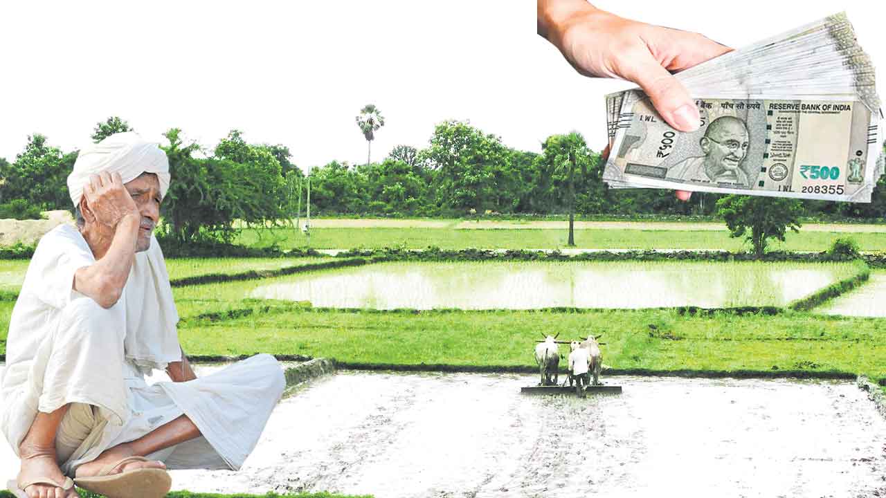 కొర్రీలకు పరిష్కారమేదీ