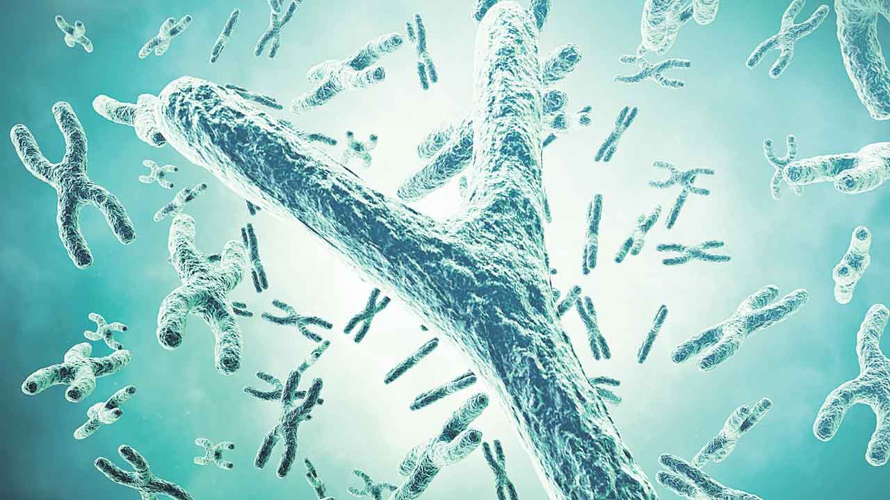 Y Chromosome | క్రమంగా కనుమరుగవుతున్న ‘వై’ క్రోమోజోమ్స్‌.. మగ జాతి అంతమవుతుందా?!