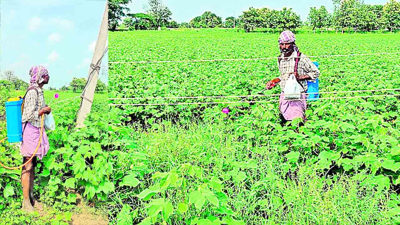 తీగలు కిందకు.. తగిలితే షాకు !