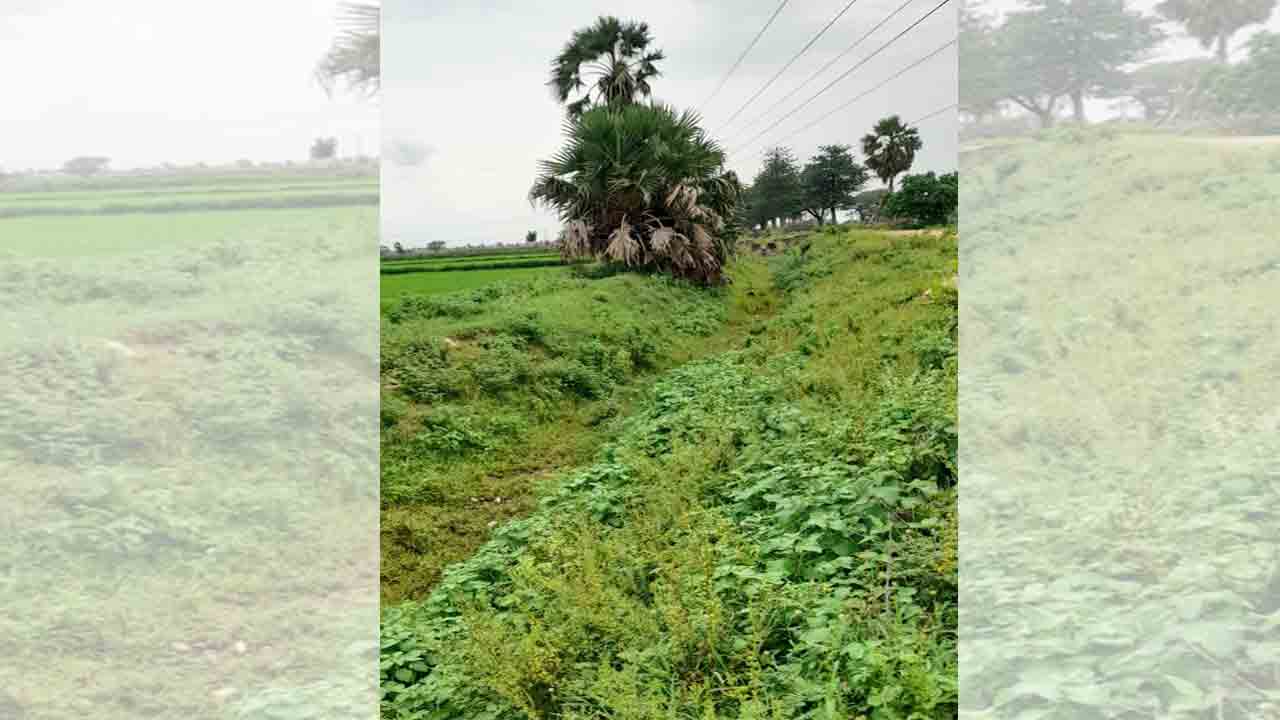 సాగునీటి కోసం ఆయకట్టు ఎదురుచూపు