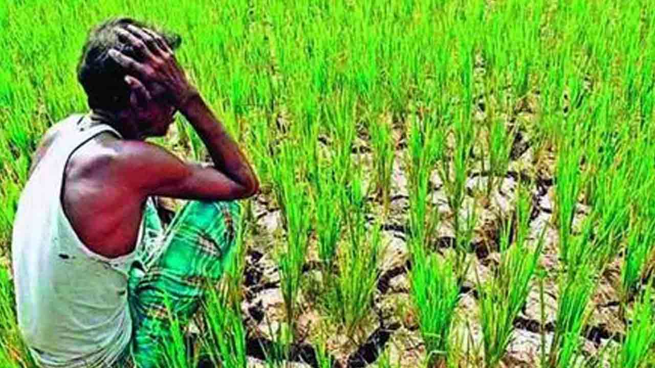 మాకేదీ రుణమాఫీ?