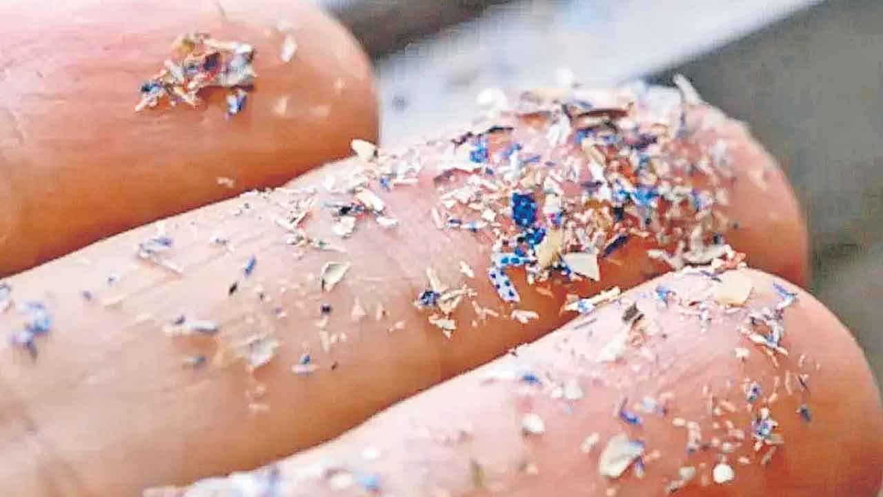 Microplastics | మానవ శరీలోనే కాదు.. మెదడు కణజాలంలో కూడా మైక్రో ప్లాస్టిక్