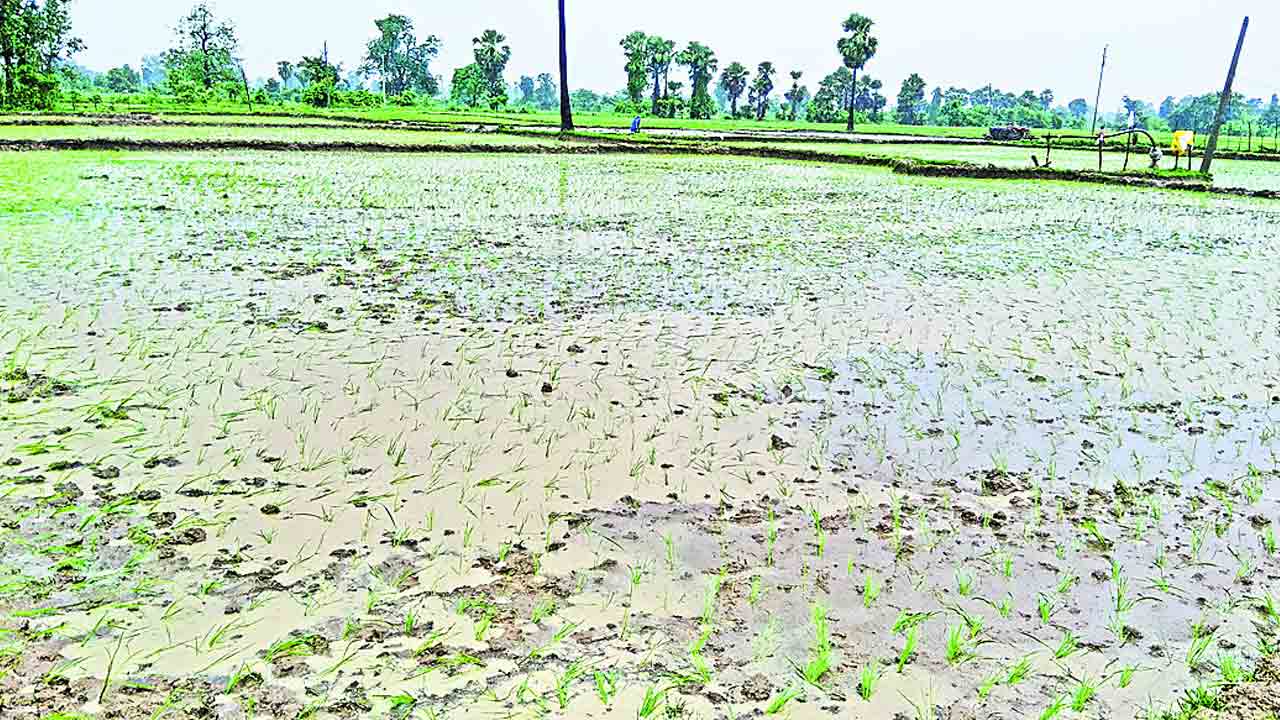 పంటలకు ఊపిరి