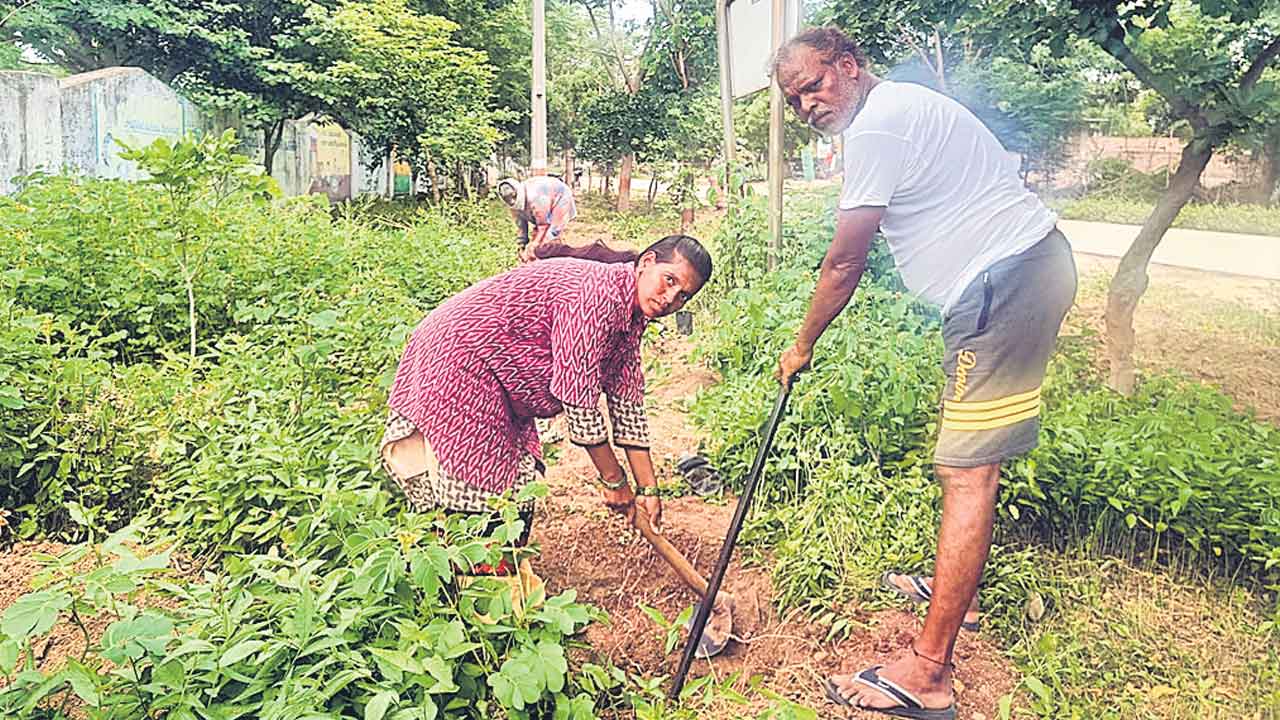 మగ్గం నేసిన చేతుల్తో మట్టి పని