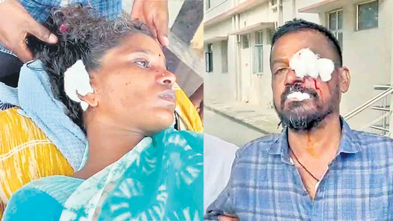 హడలెత్తిస్తున్న కుక్కలు