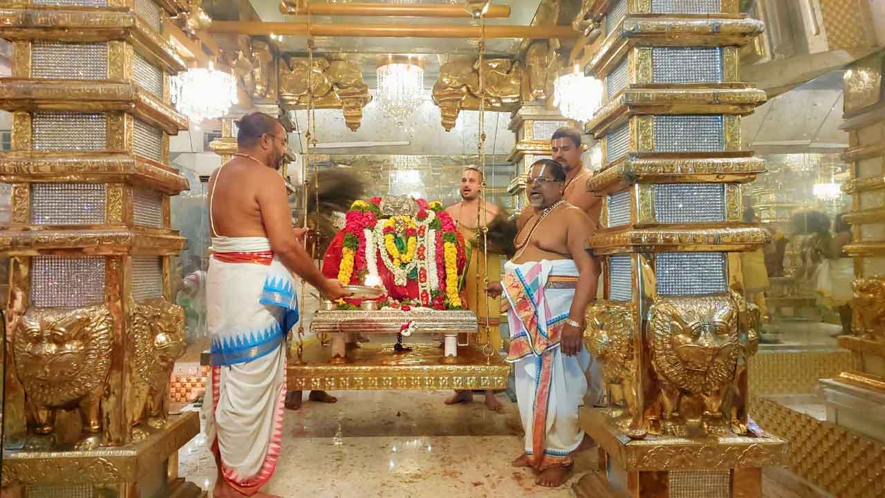 స్వామి, అమ్మవార్లకు వైభవంగా నిత్యోత్సవాలు