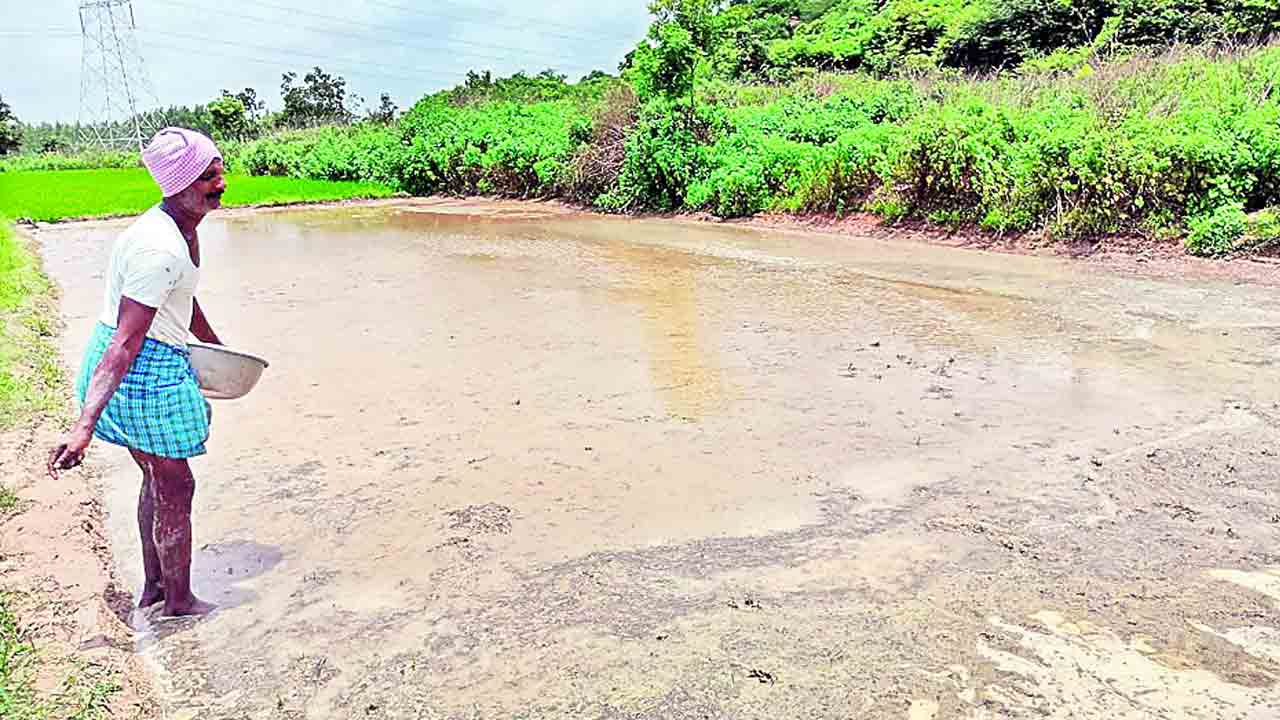 వెద సాగు.. బహు బాగు