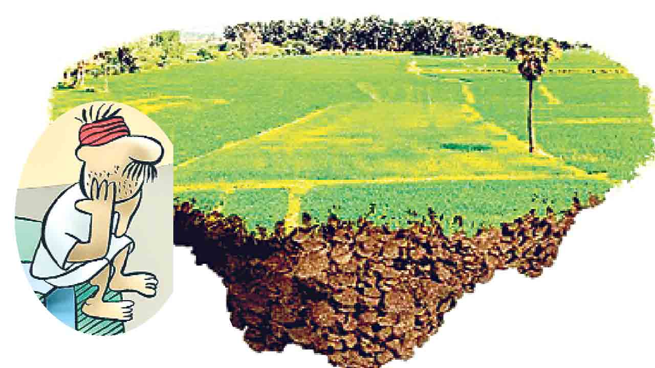 పొలంబాట వీడి పోరుబాట