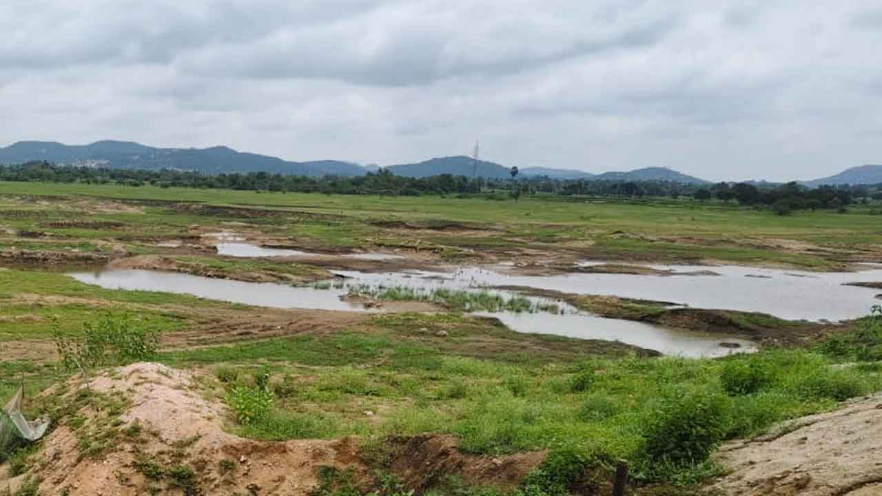 తడారుతోంది!