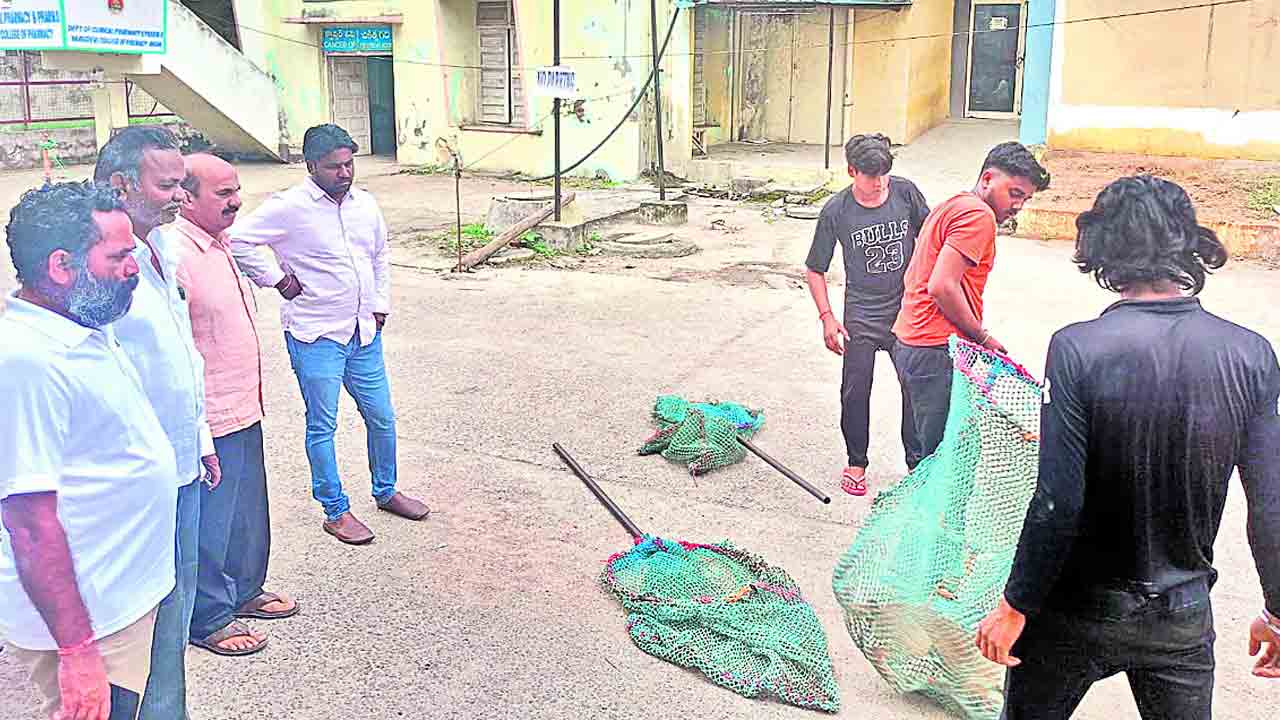 ఎంజీఎంలో కుక్కల పట్టివేత