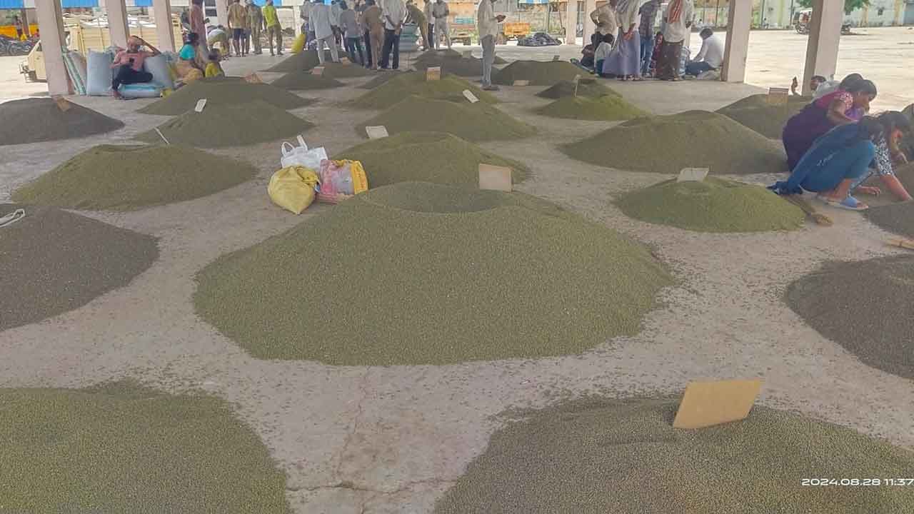 తిరుమలగిరి మార్కెట్‌కు 1,788 క్వింటాళ్ల పెసర్లు