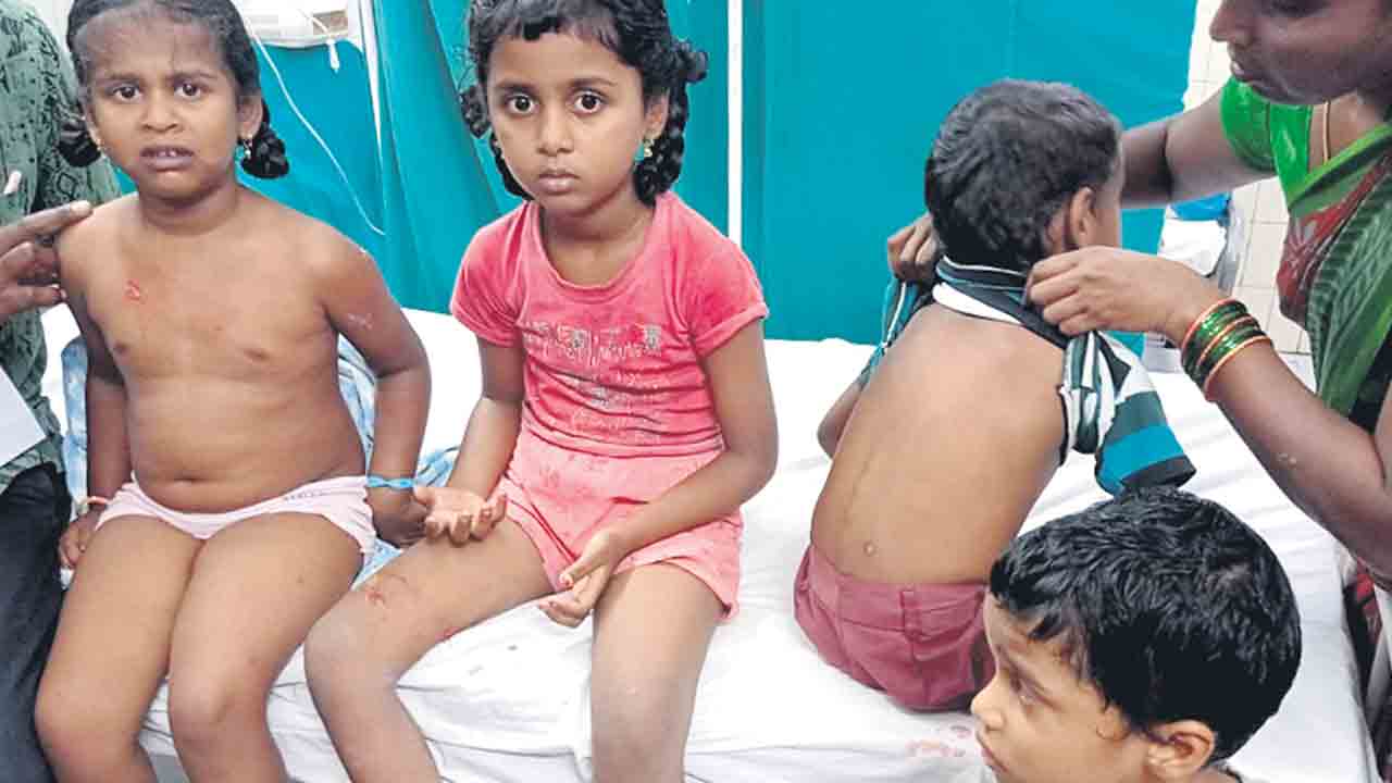 వామ్మో కుక్కలు