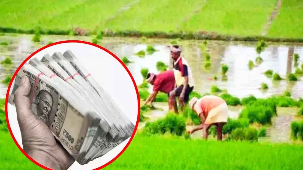 కనికరించండి.. రుణమాఫీ చేయండి