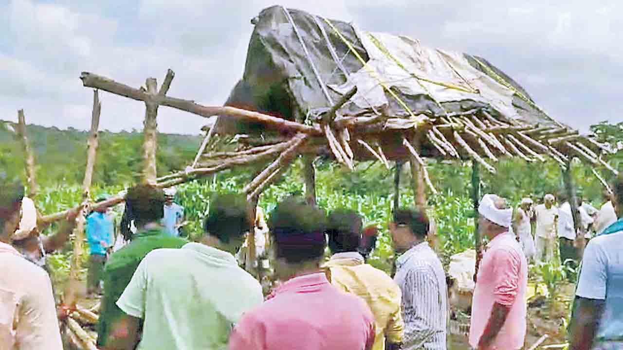 అడవుల రక్షణకు కదిలిన ‘గౌరారం’