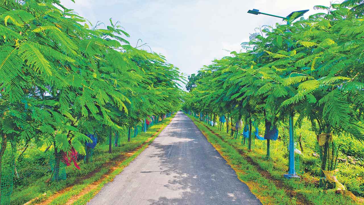 ధనమే లేని ‘స్వచ్ఛదనం-పచ్చదనం’